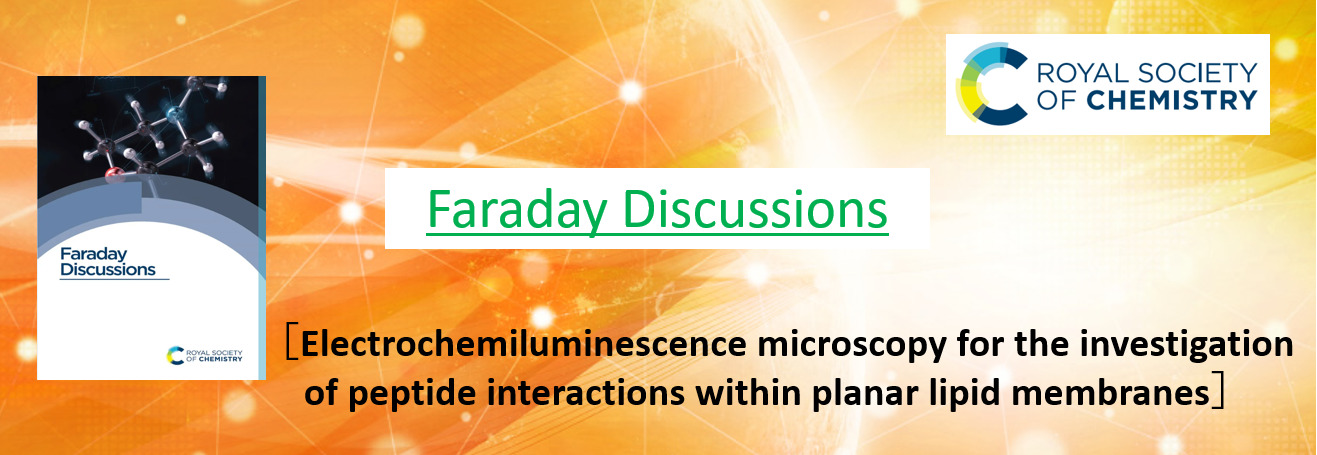 Faraday Discussions