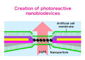 Creation of photoreactive nanobiodevices